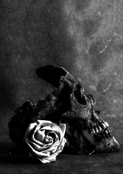 skull and roses