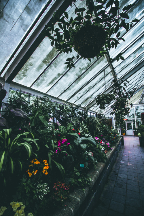 Location - Wellington Botanical GardensMajor vibes at this greenhouse yesterday! love the moody feel