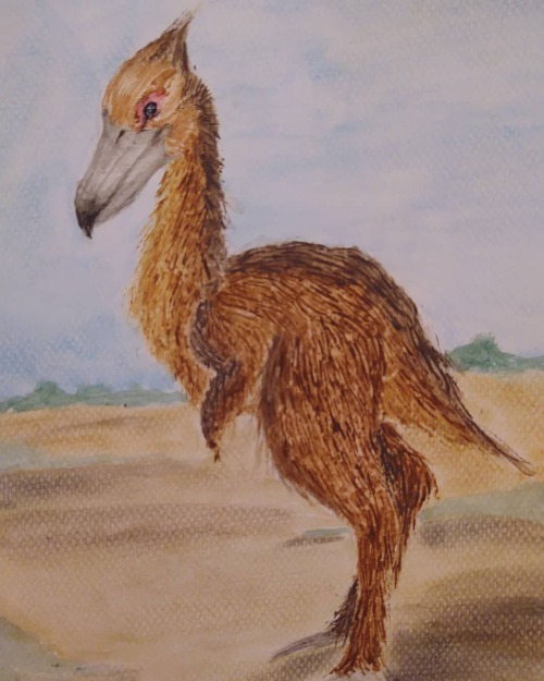 Kelenken #ptak #bird #terrorbirds #fororak #kelenken #paleontology #paleontologia #sztuka #art #artist