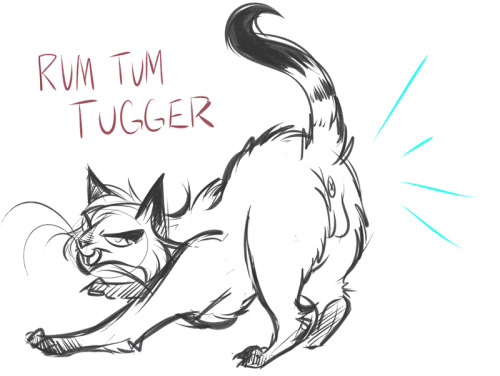 kirrys:here have some Cats. I want a cat named JennyAnyDots now….I was with you until the Rum Tum Tu