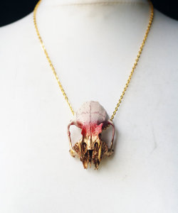 moshita:  real animal skull necklaces Virginia