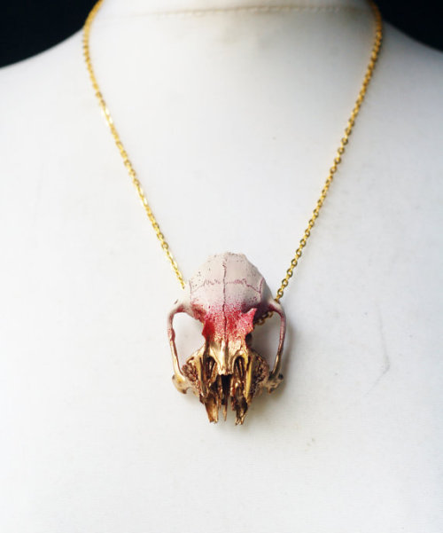 normalityavoided:  moshita:  real animal skull necklaces Virginia the Wolf 