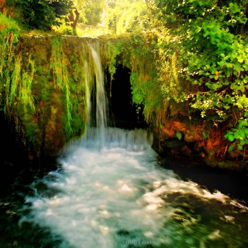 hansekind:  WATERFALL Nothing is without meaning… It is up to us to recognize this. 