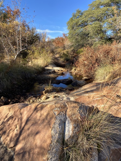 Ash Creek, Little Rincon Mountains, Arizona.