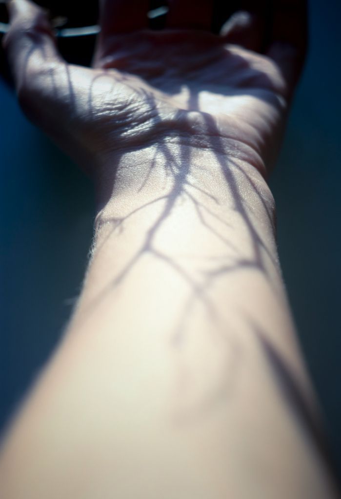 bloodonthesheet:  la bellezza di un ombra.