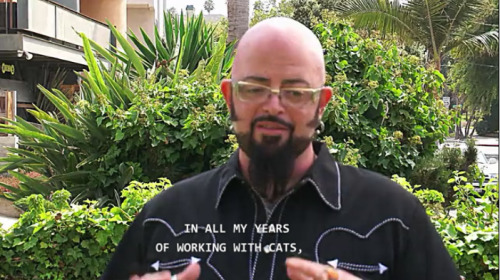 yodelbat:If you don’t love Jackson Galaxy then you are sorely mistaken.