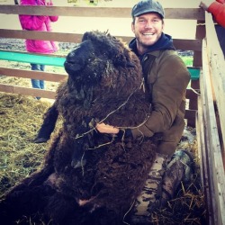 scsitek:  dtw6902:  chrisxchrisxchris:  @prattprattpratt Meet Prince Rupert. He will kick your butt if you’re not careful. Straight up. When Rupert is horny and you get in the way… look out! He’s a very aggressive ram. The males get that way if