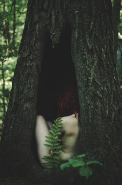 mirrorofthemagus:  Birth of a Dryad. Photos by Dana Borbely on Flickr. Please retain photographer’s credit–many thanks!