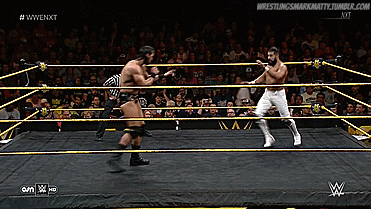 Making Wrestling Gifs Since 2016 porn pictures