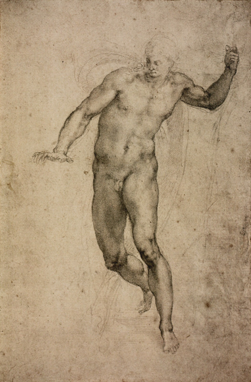 michelangelogallery: Michelangelo Figure Drawing