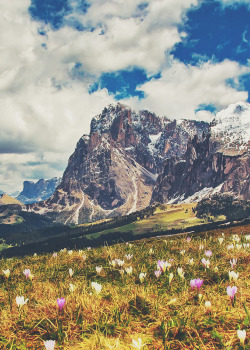 mstrkrftz:  Dolomites, Northern Italy by