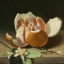 halfofanorange
