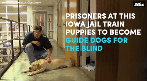 the-movemnt:Programs like these are helping to change lives on both sides of the prison wall (x) | f