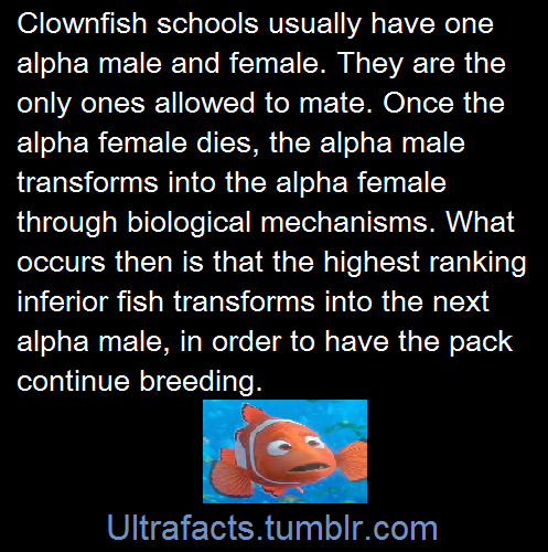 ultrafacts:Sources: 1+1 2 3 4 5 6 7 8 9 10 For more facts on your dash, follow Ultrafacts