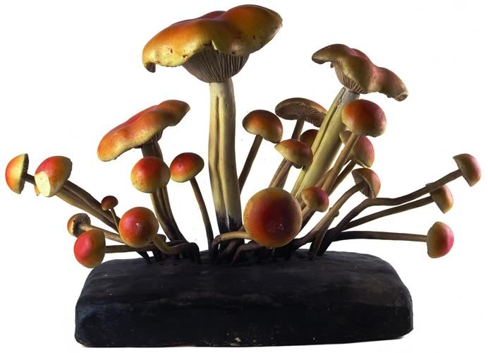 How I make mushrooms for my pieces! #fungi #mushrooms #art