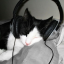 psychoticmoodz