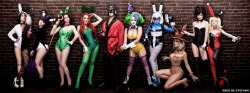 mashupismymiddlename:  Skirts and Swords via io9:  Gotham Bunnies  See the rest here!