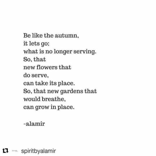 #Repost @spiritbyalamir (@get_repost)・・・...#writersofinstagram #writersofig #poetry #autumn #inspira