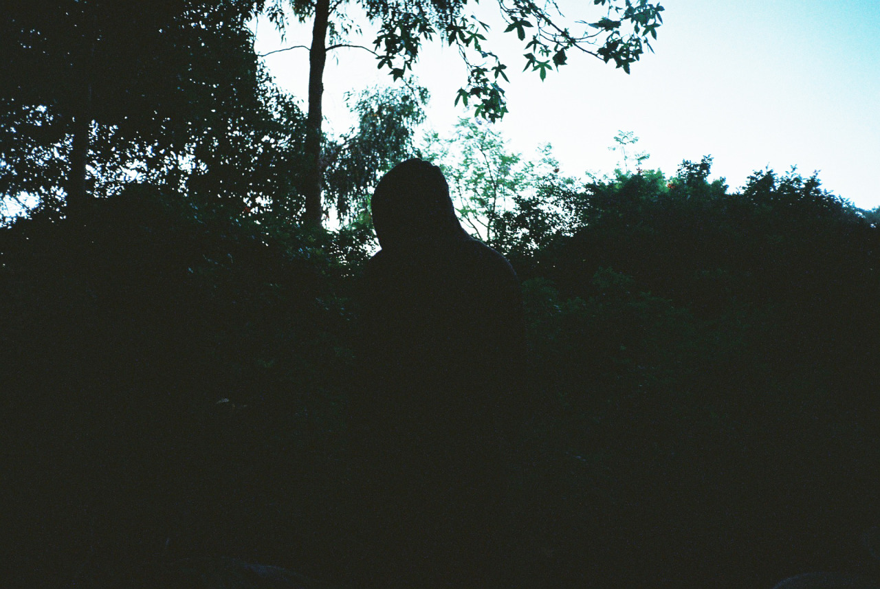 thinhdong:  Harry at sunrise in Ash’s backyard 