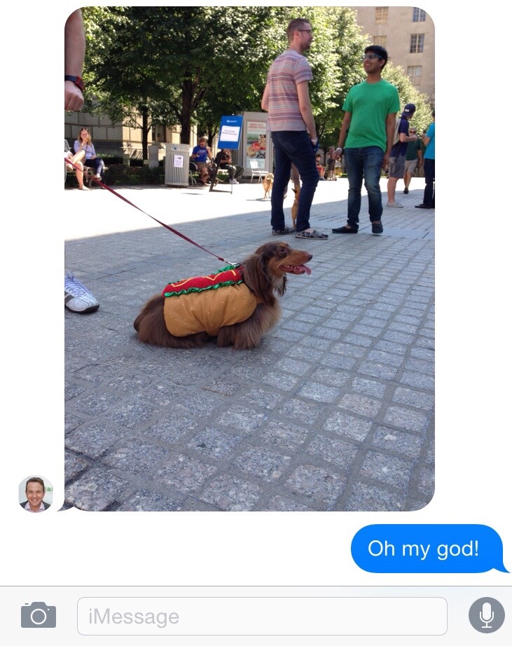 Status. (My friend is at a weenie dog race in DC and is giving me a live feed of all the dogs he’s seeing. Have I mentioned how much I love my friends? It sounds silly, but you realize how many people care about you when your phone blows up with...