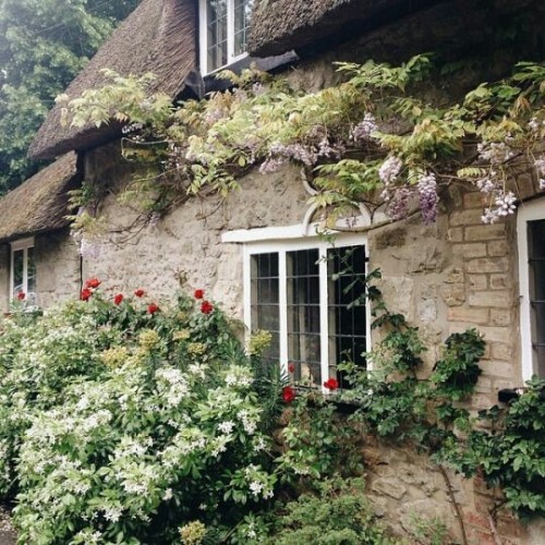 ohthewitchery:afro witch aesthetic: cottage witch(none of these photos belong to me, all rights to t