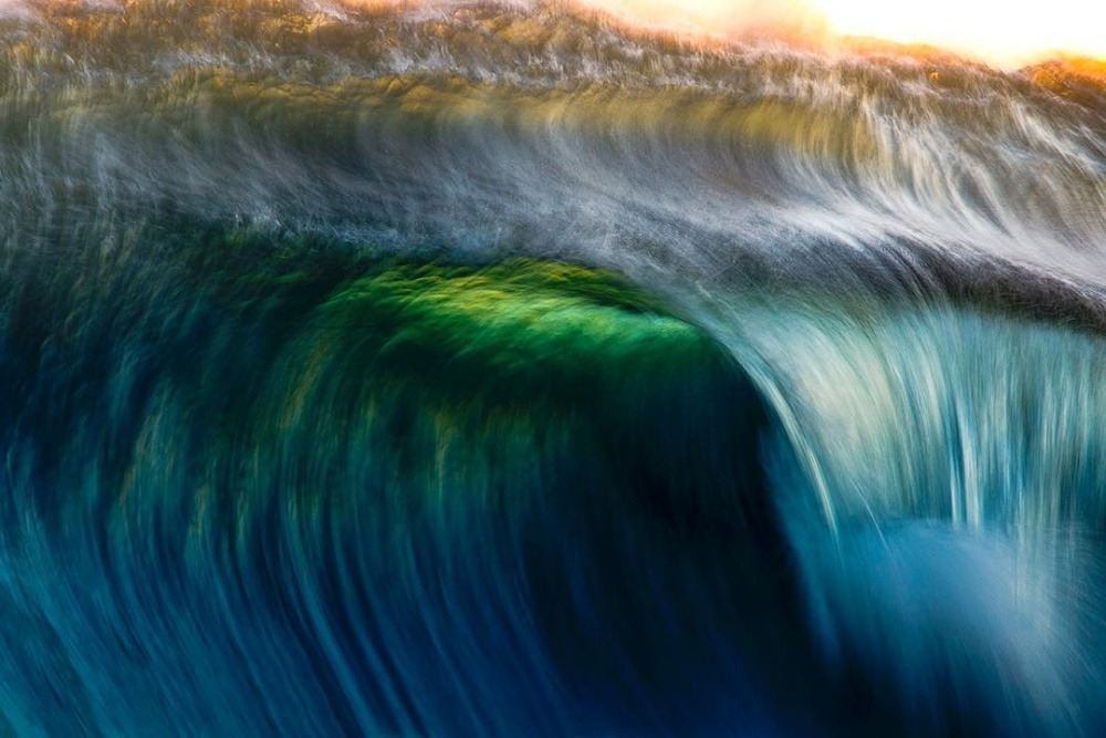 sosuperawesome:  Ray Collins on InstagramFollow So Super Awesome on Instagram 