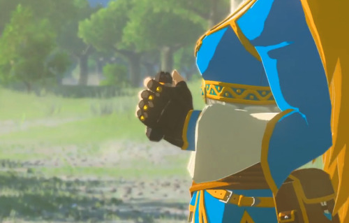 layzemichelle: Are you guys ready for some Zelda flood?! I hope you guys like this, and if you do, p