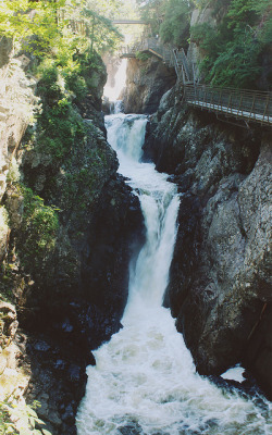 calms:  photography, vintage, and nature blog      