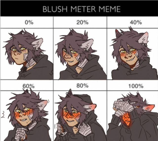 Featured image of post Blush Meter Meme Mha Blush meter meme ax serry ware