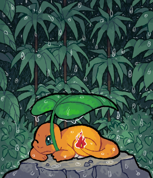 21/9/21&ndash; charmander in the rain