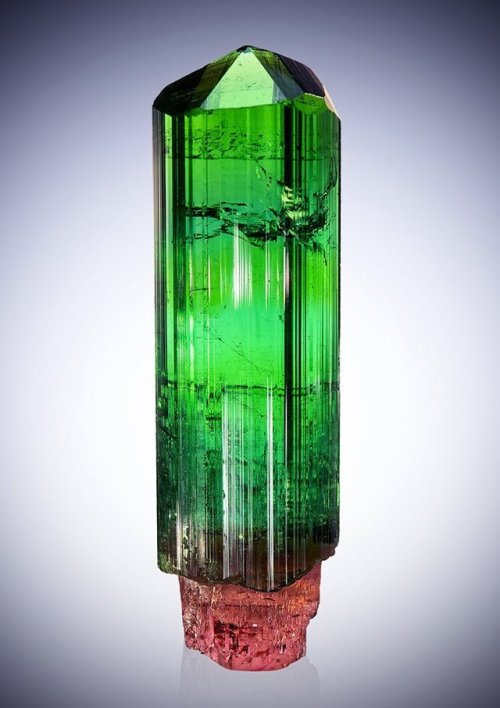 Uttermost Gemmyness And Strikingly Bright Colors Are Instantaneously Catching The Eye On This Fantastic