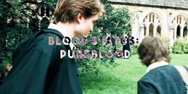 cedric + the basics