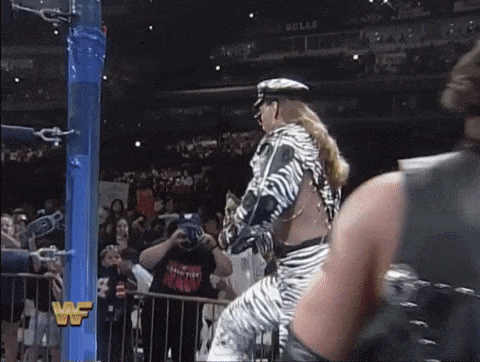 Shawn Michaels At Summerslam, 1994