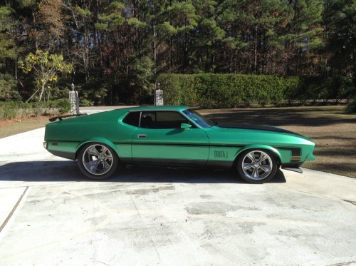 Muscle Cars Fans