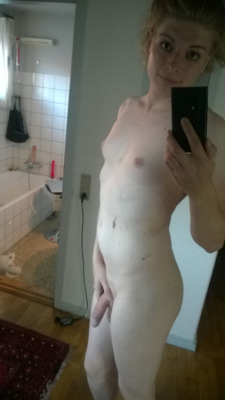 Trade Trans Pics