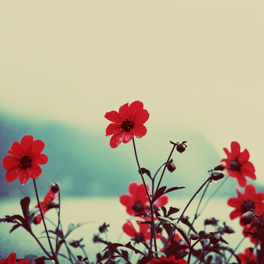 themanalive:  (by ►i.Anton) 
