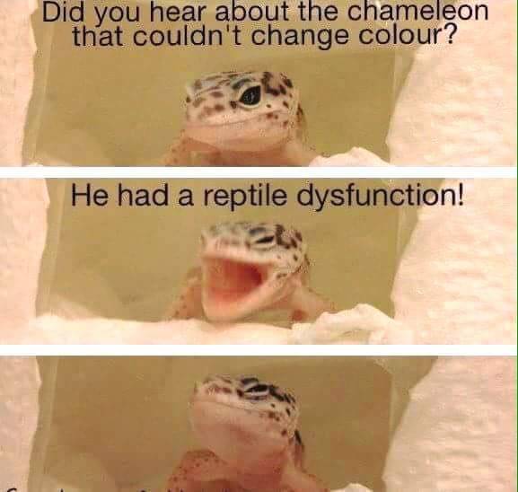 chrryblsm:  😂😂😂😂😂😂  Hahahahaha