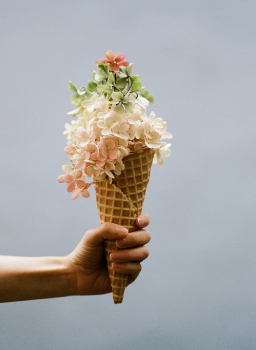 metalhearts:  ice cream and flowers by Parker Fitzgerald for Kinfolk 