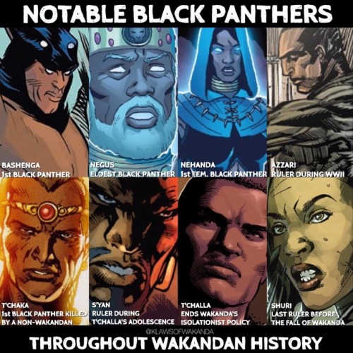 klawsofwakanda:Previous version of this pic was very light on info concerning recent Black Panthers.