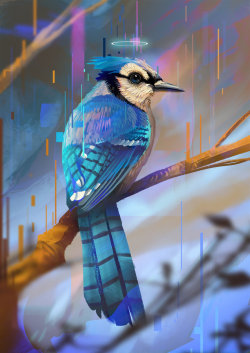 madcat-world:  Blue Jay - JoseOchoaArt 