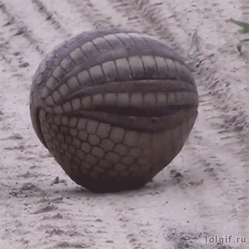 Aimer-Imaginer-Penser:source  Lillyjadethings