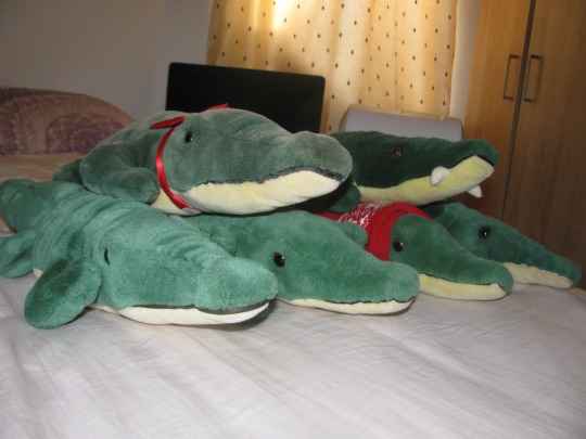 Porn WANT TO BUY: THIS PLUSH CROCODILE photos