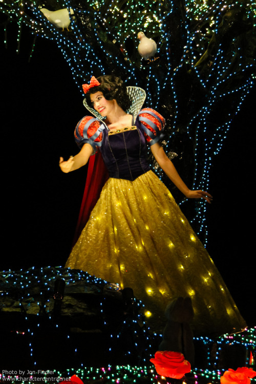 yeahdisneyaudios:Princess Costume pic spam: Snow White (Tokyo Disneyland)Source