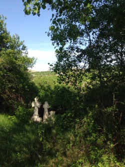 taphophilia: Prahova county, Romania X 