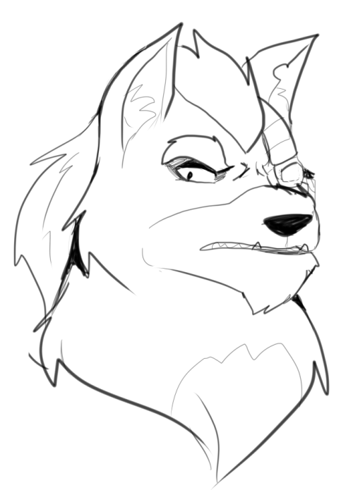 improbablecarny:  um wolf