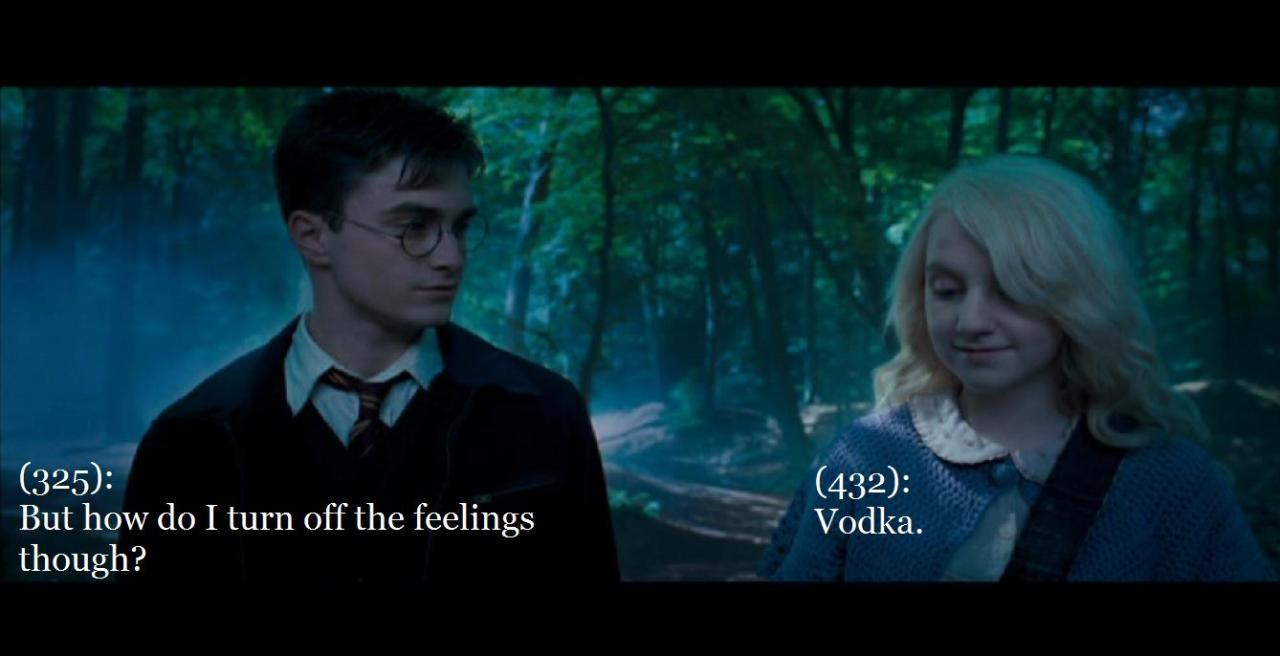 Texts From Last Night: Harry Potter Style.