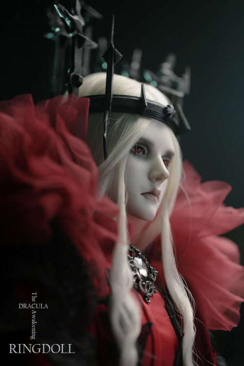 ringdoll:  New release of Ringdoll–Dracula.Dracula is a limited edition with unique style, can be purchased from Feburary 14th, 2015 to May 14th, 2015.This edition will be discontinued when limited purchased time ends but the basic doll(without make-up)