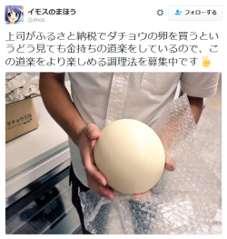 mudwerks:  highlandvalley:  イモスのまほうさんのツイート: “上司がふるさと納税でダチョウの卵を買うというどう見ても金持ちの道楽をしているので、この道楽をより楽しめる調理法を募集中です✌️