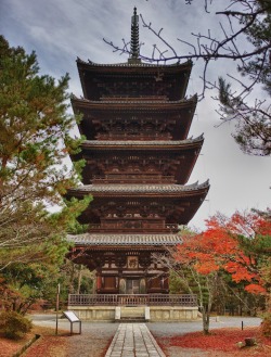 kyotodreamtrips:  The Pagoda of Ninna-ji Temple in Kyoto! This pagoda was constructed in the 21st year of the Kanei era (1644). It is 36.18 meters high. The massive pagoda is supported by the Shin-bashira main pillar in the centre which is surrounded