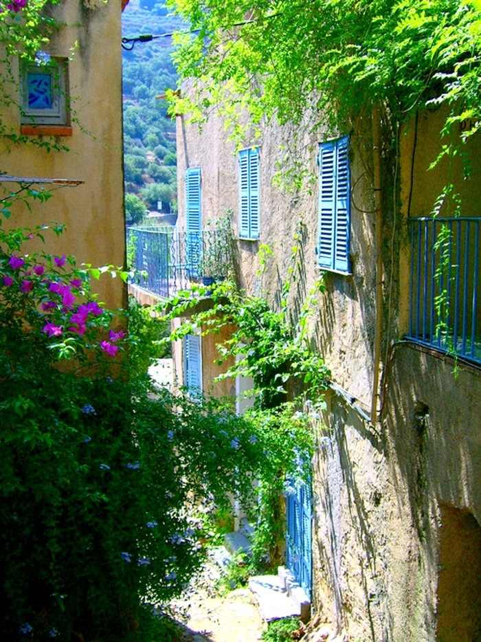 bonitavista:  Provence, France photo via essence 